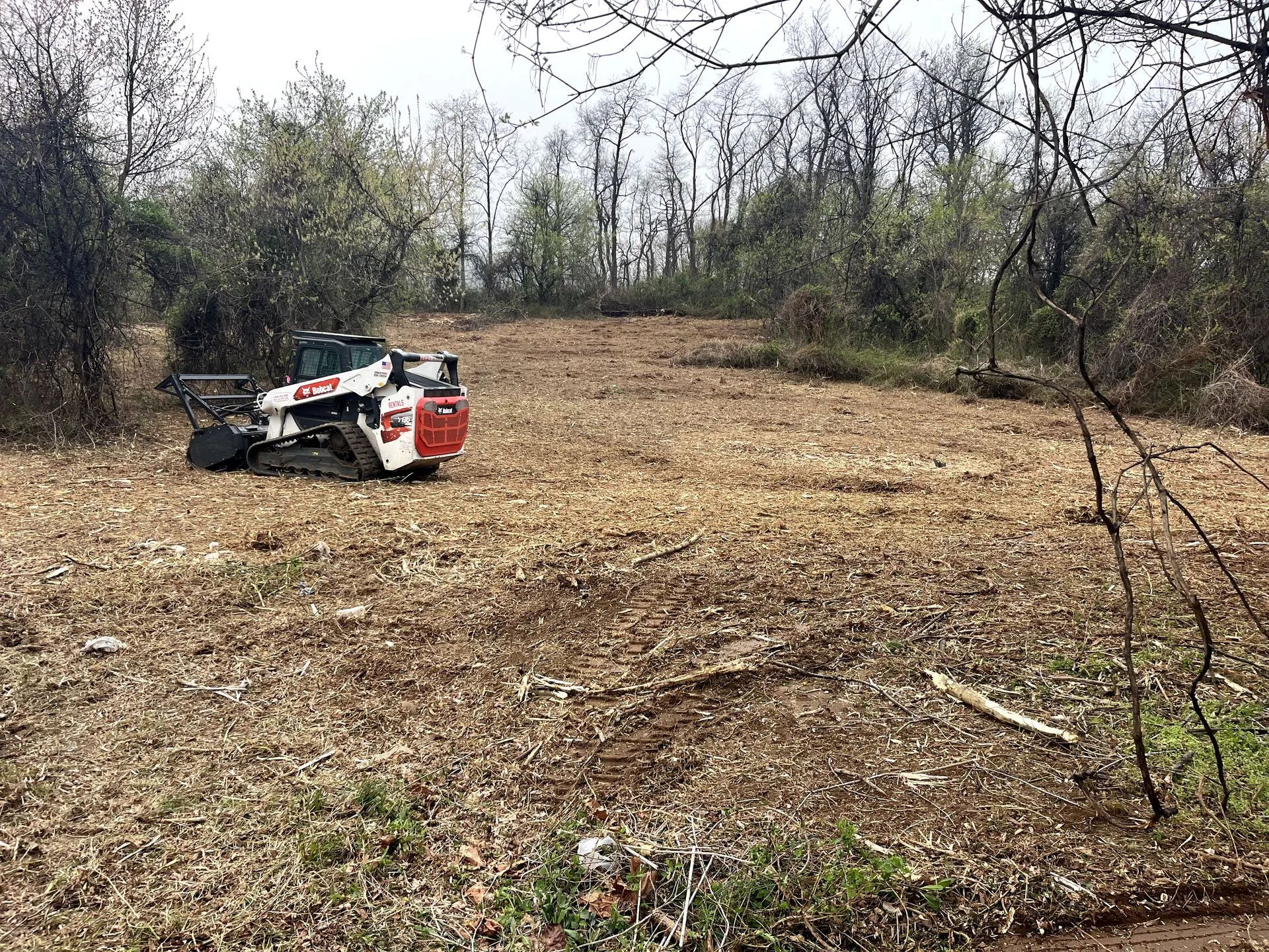 Land Clearing