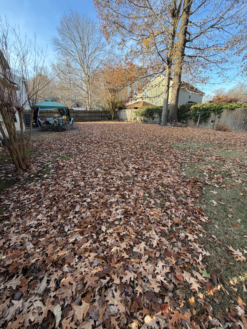 Seasonal Cleanups