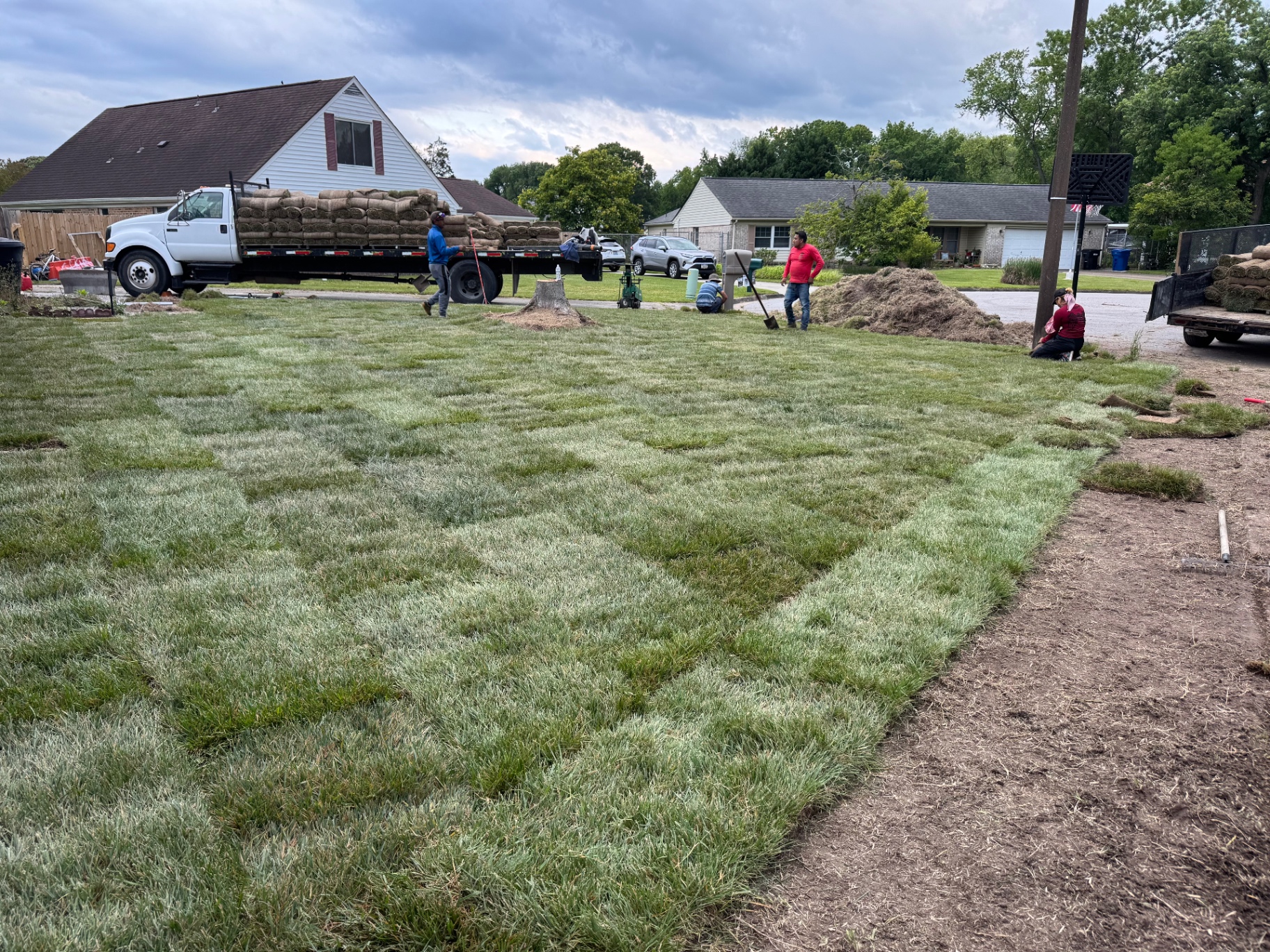 Sod Installation
