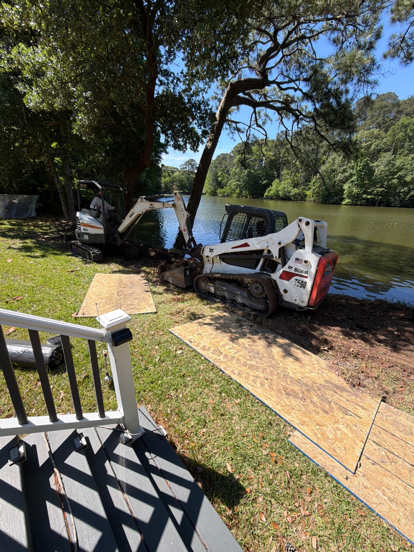 Waterfront Clearing