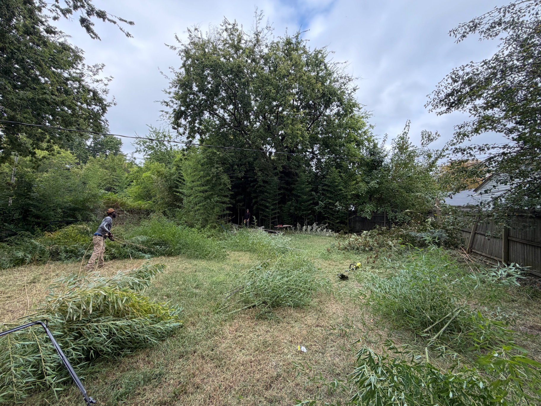 Property Cleanups